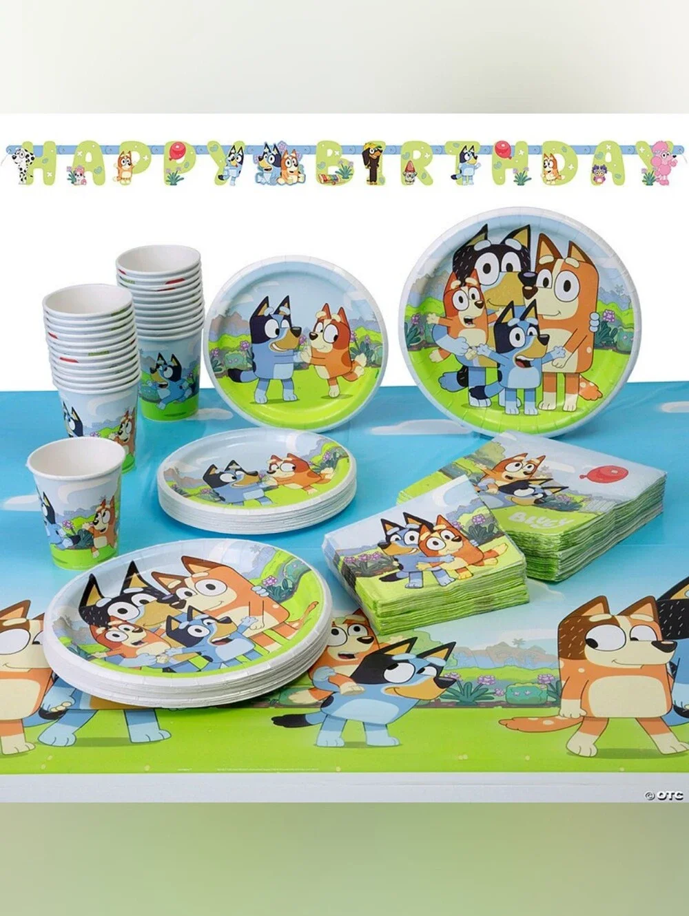 Bluey Party Box!